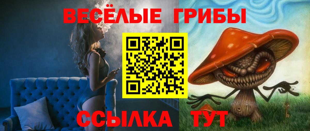 купить  цена  Псилоцибиновые грибы мицелий  Вход с VPN  Сальск 