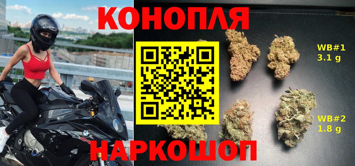 Бошки марихуана планчик  Марихуана семена  Вход с VPN  Шишки марихуана план  Канабис тримм  Сальск 